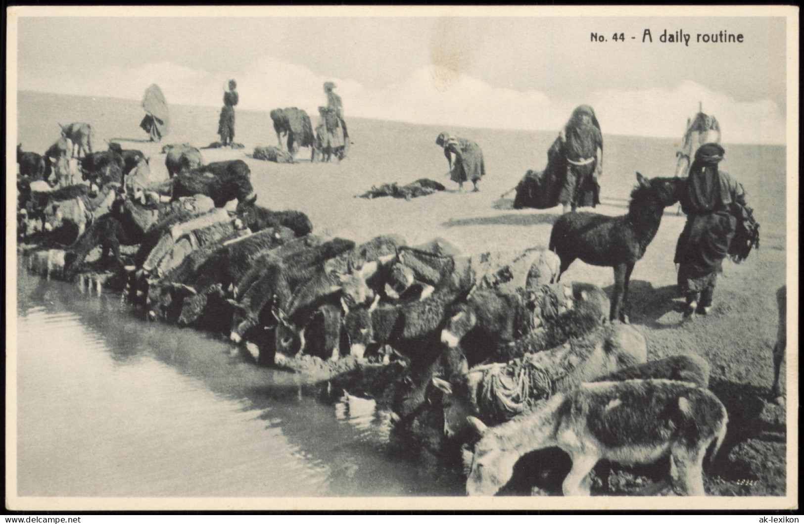 Postcard Irak Allgemein A Daily Routine Iraq Tiere Oase 1922 - Irak