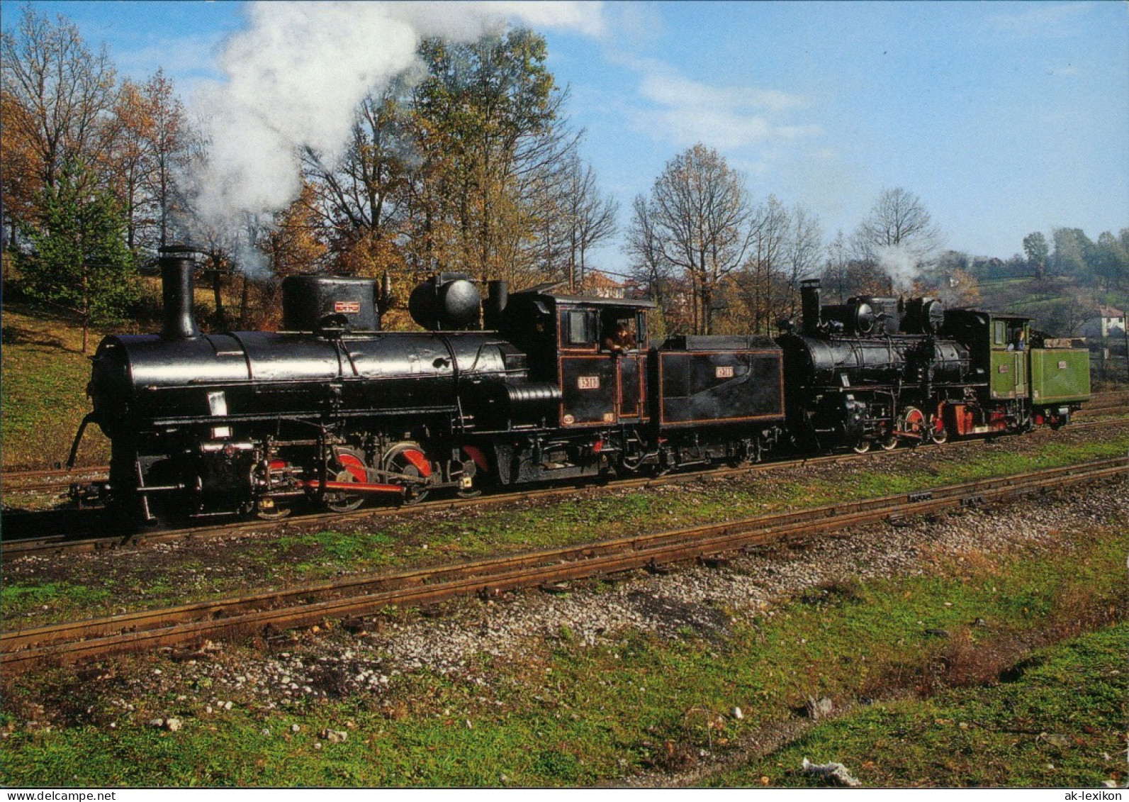 Verkehr & Eisenbahn D1-Schlepptenderloks Der Freistritztalbahn 2000 - Trenes