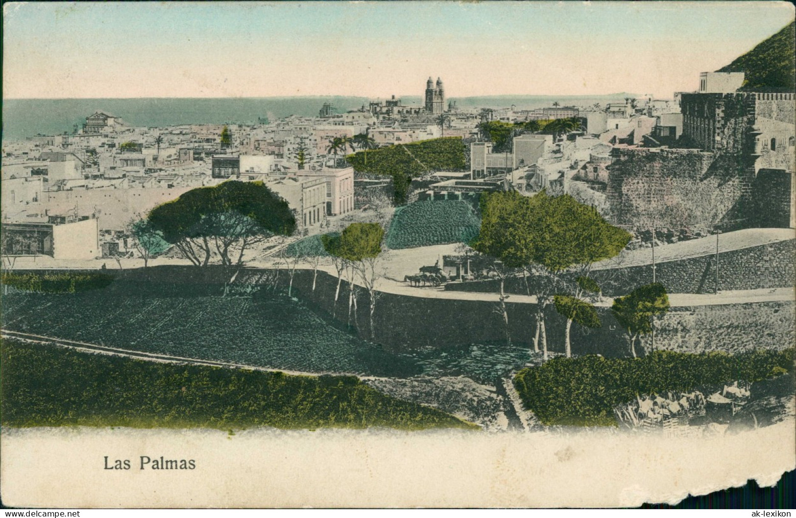 Las Palmas De Gran Canaria  Stadt - Canaris 1915  Gel. Deutsche Schiffspost - Autres & Non Classés