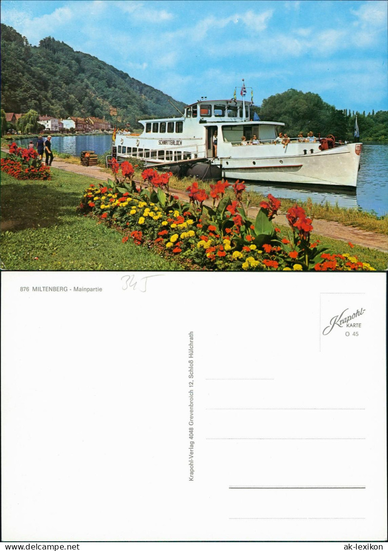 Miltenberg (Main) Mainpartie Mit Schiff Fahrgastschiff SCHNATTERLOCH 1980 - Miltenberg A. Main