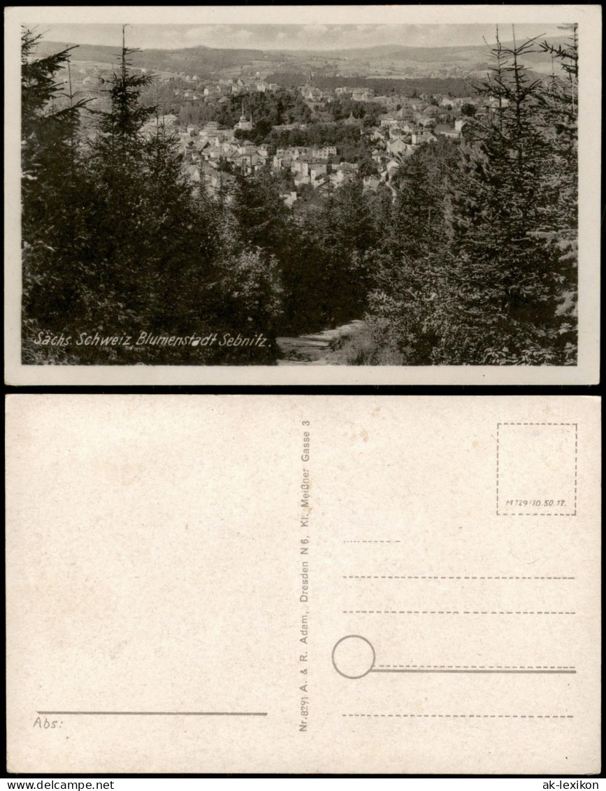 Ansichtskarte Sebnitz Blick Auf Die Stadt 1958 - Sebnitz