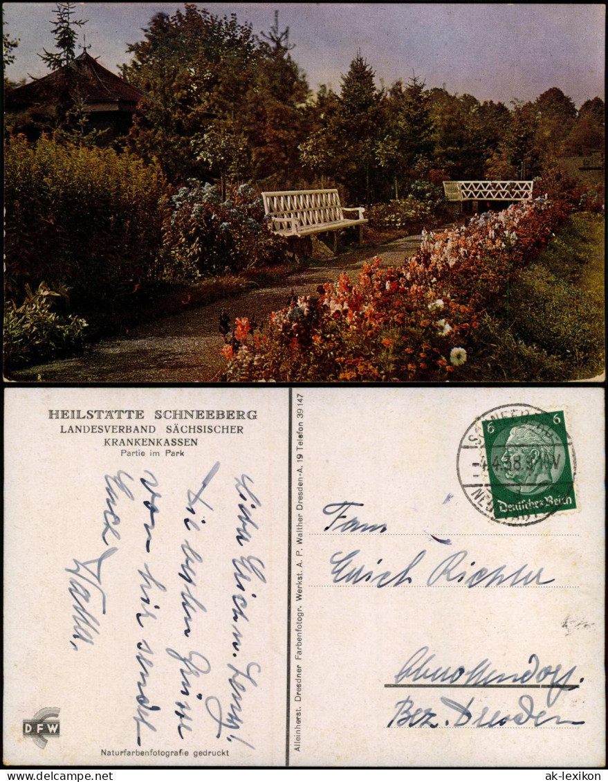 Ansichtskarte Schneeberg (Erzgebirge) Park, Heilstätte - Naturfarben 1938 - Schneeberg