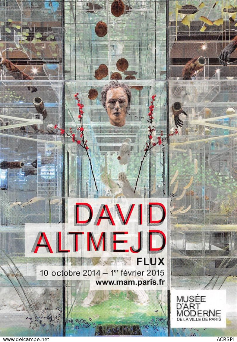 DAVID Altmejd Musee D Art Modern PARIS 17(scan Recto-verso) MB2314 - Advertising