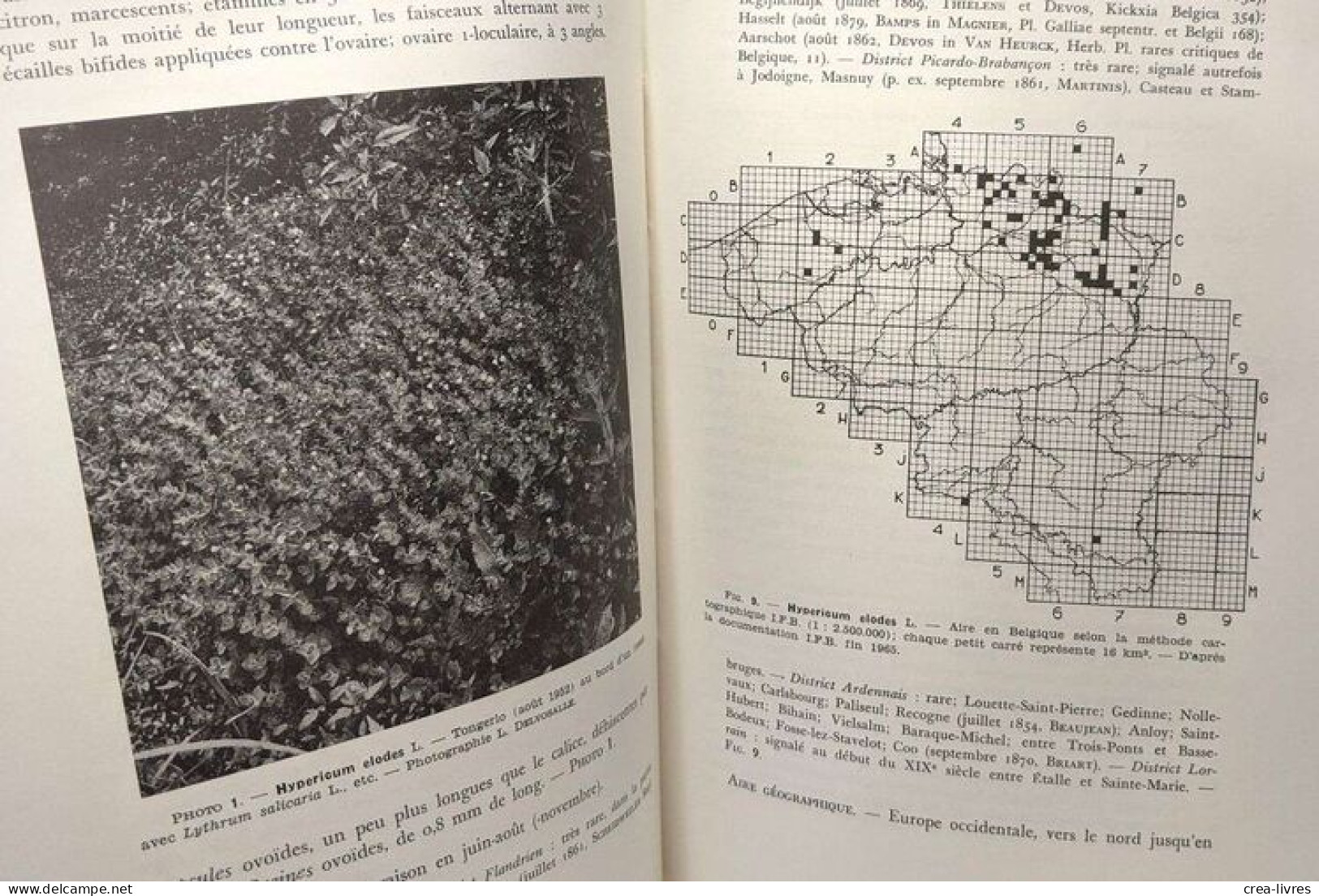 Spermatophytes - Vol. V - Fascicule 1 - édités Ente - Flore Générale De Belgique - Non Classés