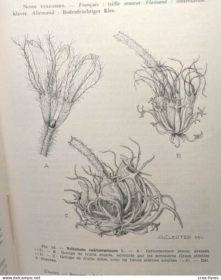 Spermatophytes - Vol. IV - Fascicule 1-2-3 - édités Ente 1961 Et 1964 - Flore Générale De Belgique - Non Classés