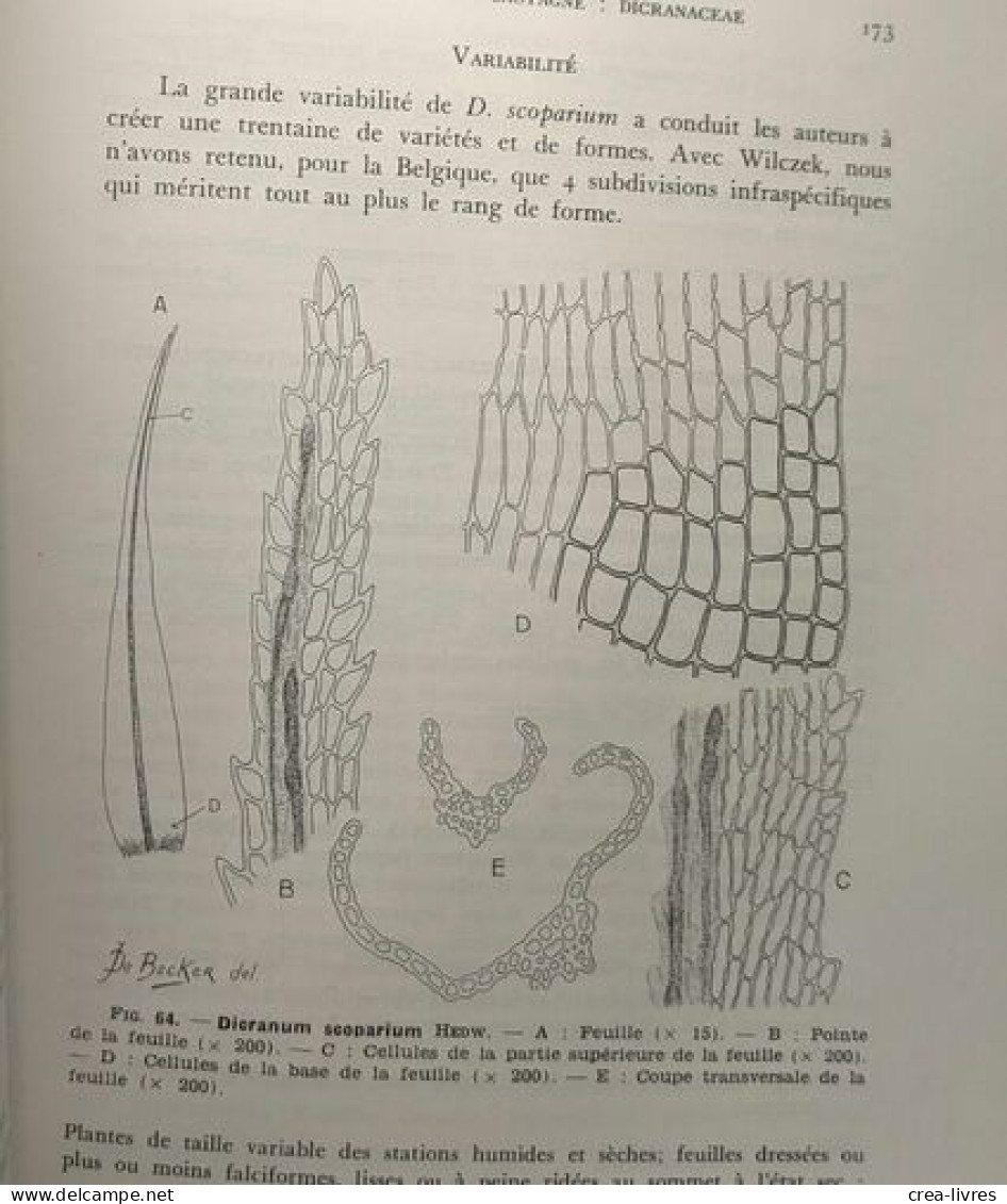 Bryophytes - Vol. II - Fascicule 2 Et 3 - édités Ente 1961 Et 1964 - Flore Générale De Belgique - Ohne Zuordnung