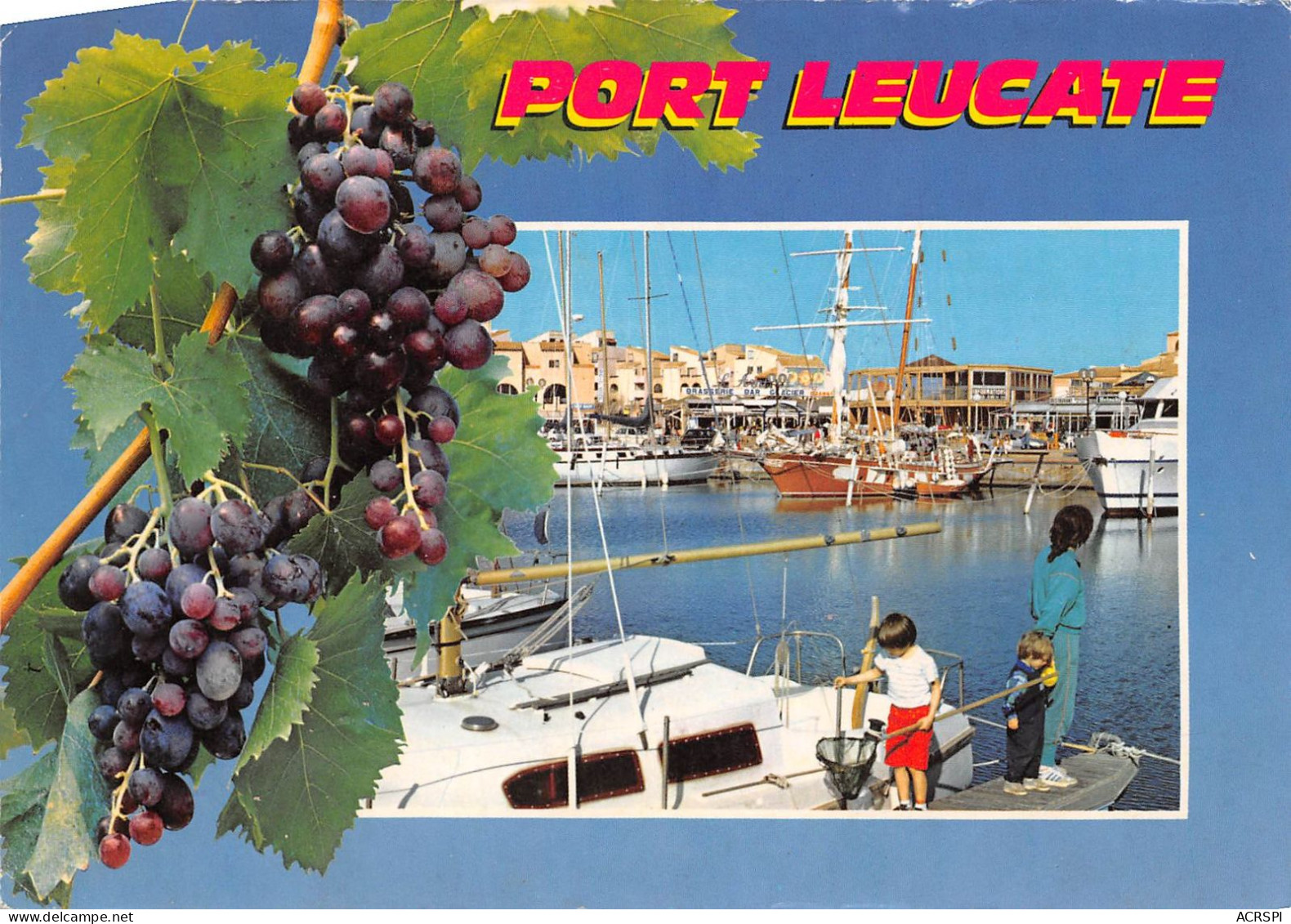 PORT LEUCATE Le Port Les Quais 1(scan Recto-verso) MB2331 - Leucate