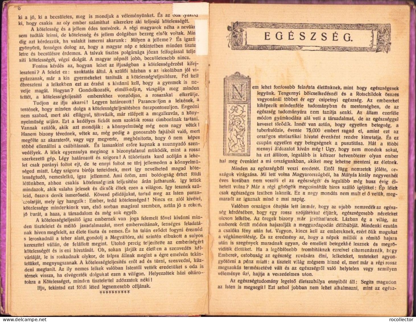 Az élet Könyve Az Ifjúság és A Nép Számára – 40 éves Jubileumi Kiadás Díszes Dombornyomott Kötésben 1912 Dolinay Gyula - Alte Bücher