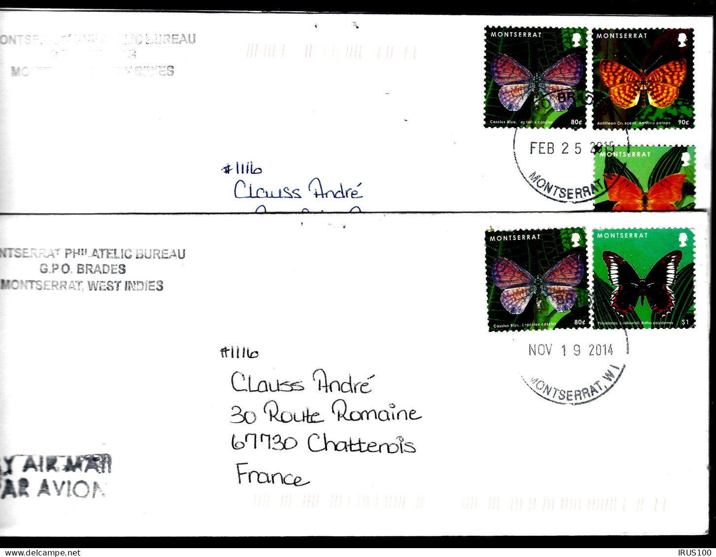 PAPILLONS - MONTSERRAT (INDE) - LES 2 ENVELOPPES - Papillons