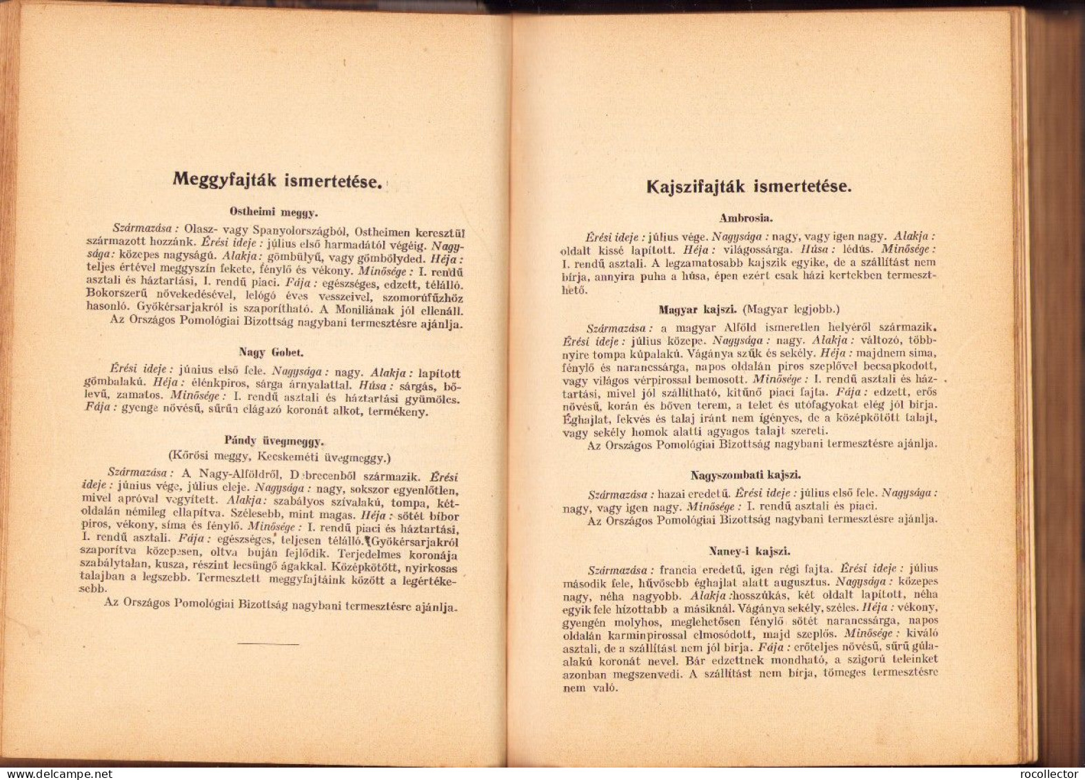 A Gyümölcstermesztés Kézikönyve Irta Mohácsy Mátyás 1936 687SPN - Alte Bücher