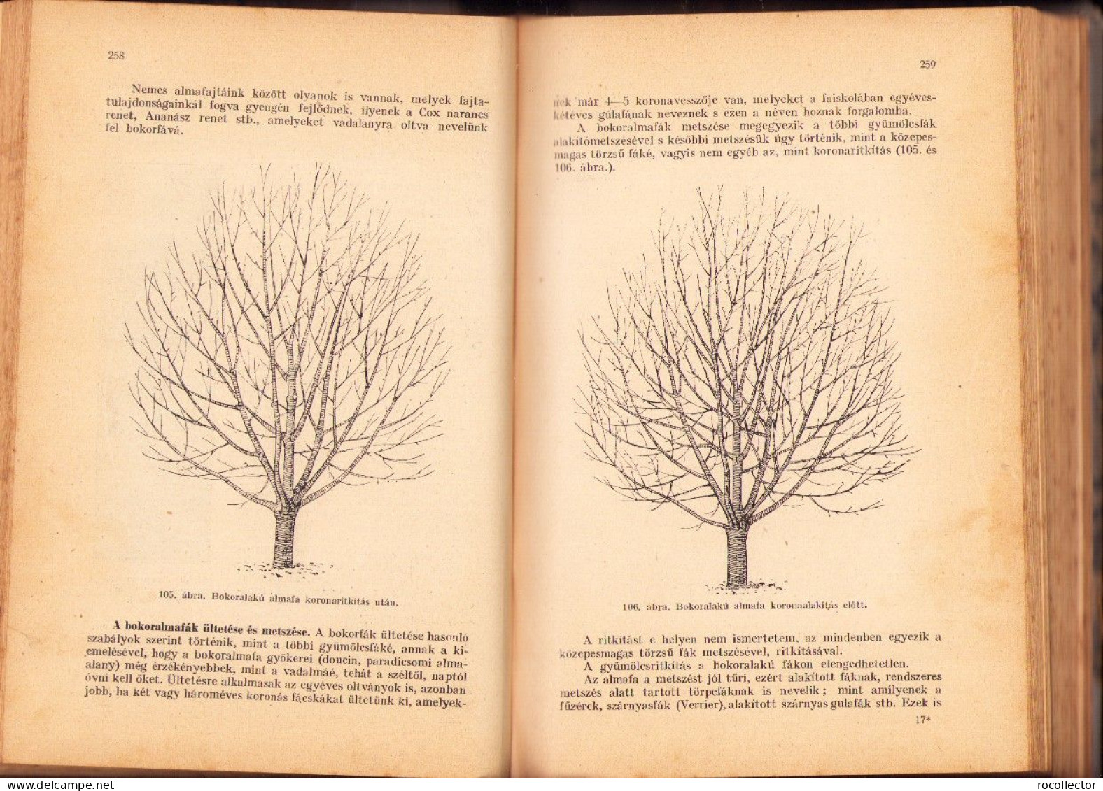 A gyümölcstermesztés kézikönyve irta Mohácsy Mátyás 1936 687SPN