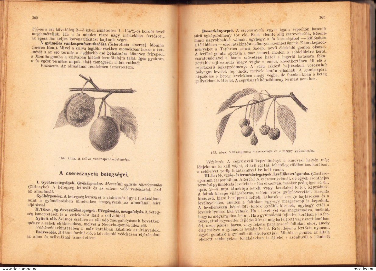 A gyümölcstermesztés kézikönyve irta Mohácsy Mátyás 1936 687SPN