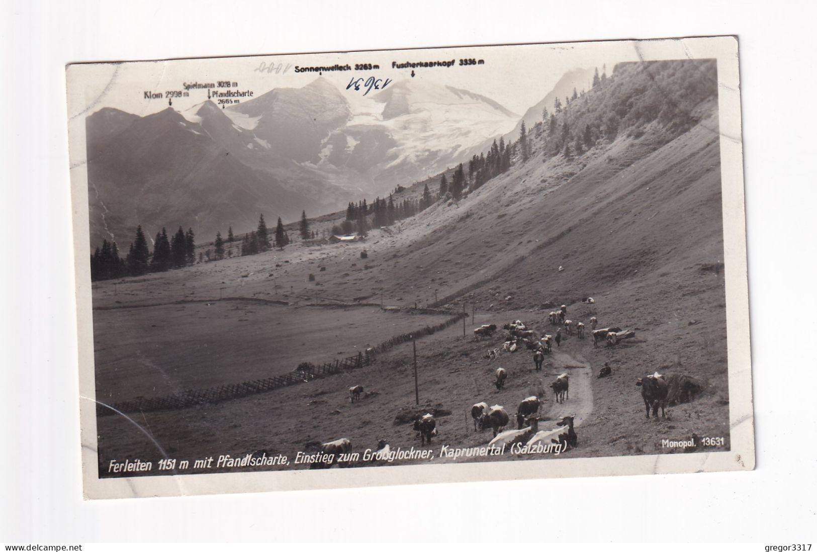 E6213) FERLEITEN - 1151m Mit Pfandlscharte Einstieg Zum GROSSGLOCKNER Kaprunertal Salzburg - Kühe Am Weg ALT! - Sonstige & Ohne Zuordnung