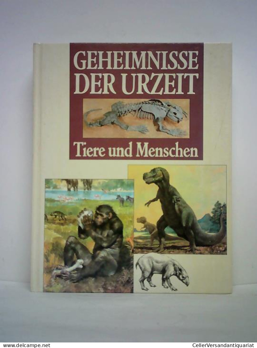 Geheimnisse Der Urzeit. Amphibien Und Riesensaurier Von Andreose, Mario (Hrsg.) - Non Classés