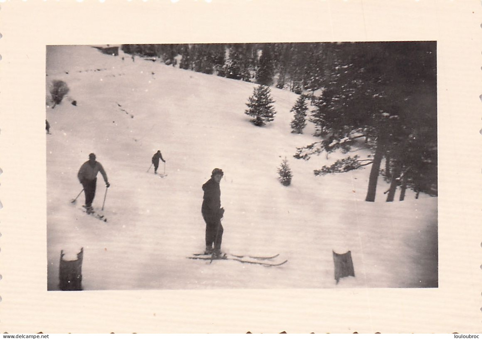 ALPES LE BOREON FORET  1953  ALPINISME  PHOTO ORIGINALE  10 X 7 CM - Places