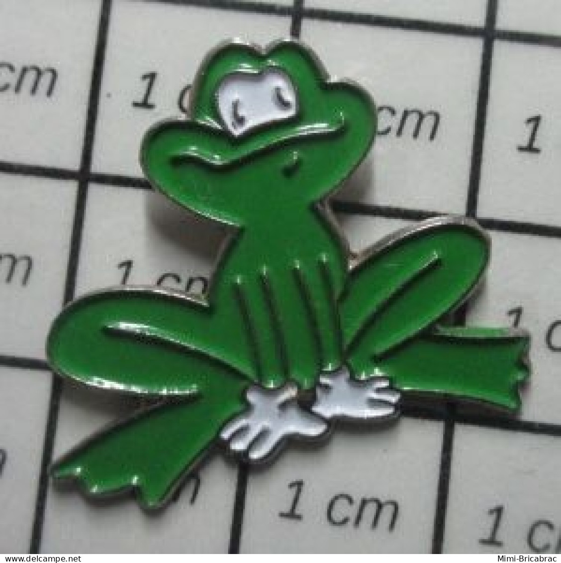 511B Pin's Pins / Beau Et Rare / THEME : ANIMAUX / GRENOUILLE VERTE AVeC DES GANTS BLANCS Mais Pourquoi ?? POURQUOI ? - Dieren