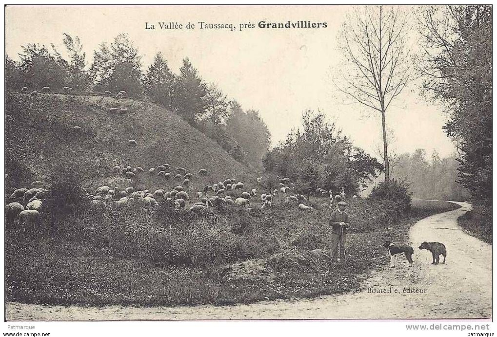 60. La Vallée De Taussacq Près De Granvilliers - Berger Et Son Troupeau De Moutons - Grandvilliers