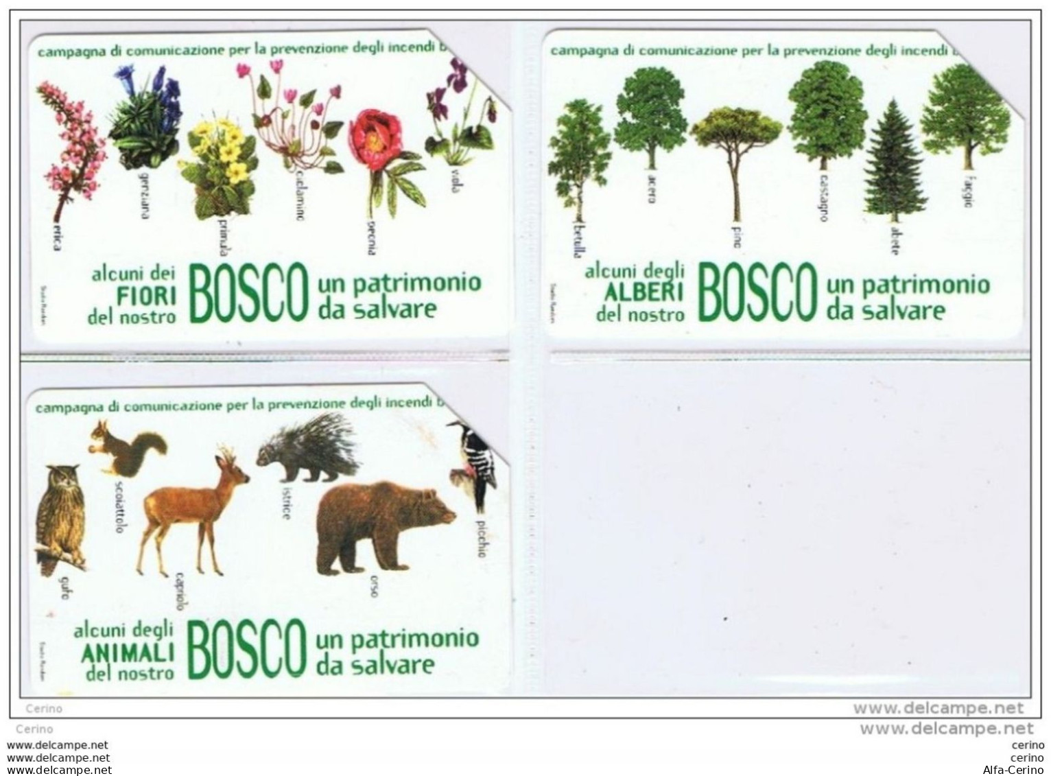 3 USATE:   €. 5,00 + €. 2,50 X2  -  31.12.2004   -  IL  BOSCO  DA  SALVARE  -  S. CPL. - QUESTE. - Public Practical Advertising