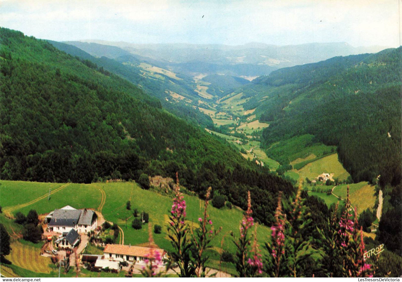 FRANCE - Les Vosges Pittoresques - La Haute Vallée De La Liepvrette Depuis Le Col Des Bagenelle - Carte Postale Ancienne - Lièpvre