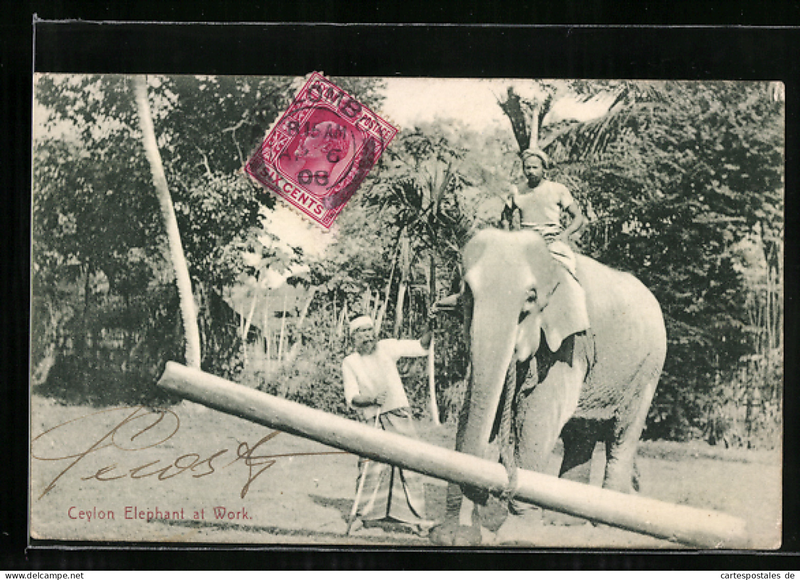 AK Ceylon, Arbeitselefant Transportiert Einen Baumstamm  - Elephants