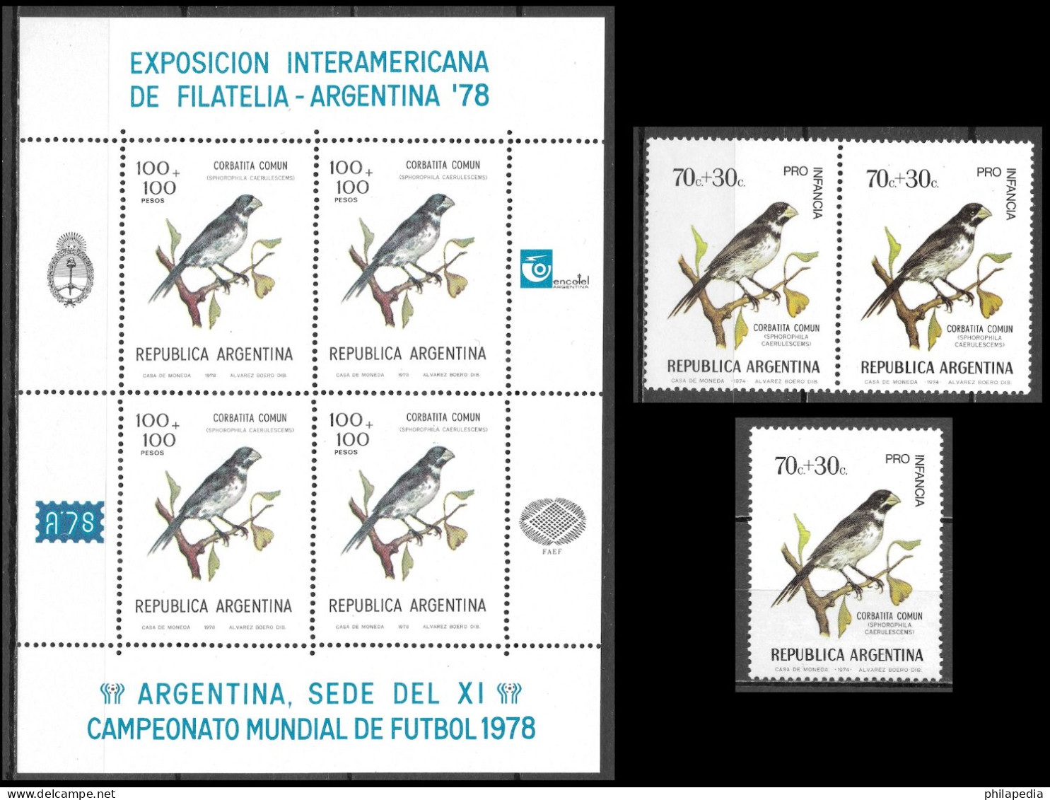 Argentine Football Oiseaux Passereaux Sporophile Birds Seedeater Vögel Samenfresser Aves Corbatita Uccelli ** 1974 20€ - Passereaux