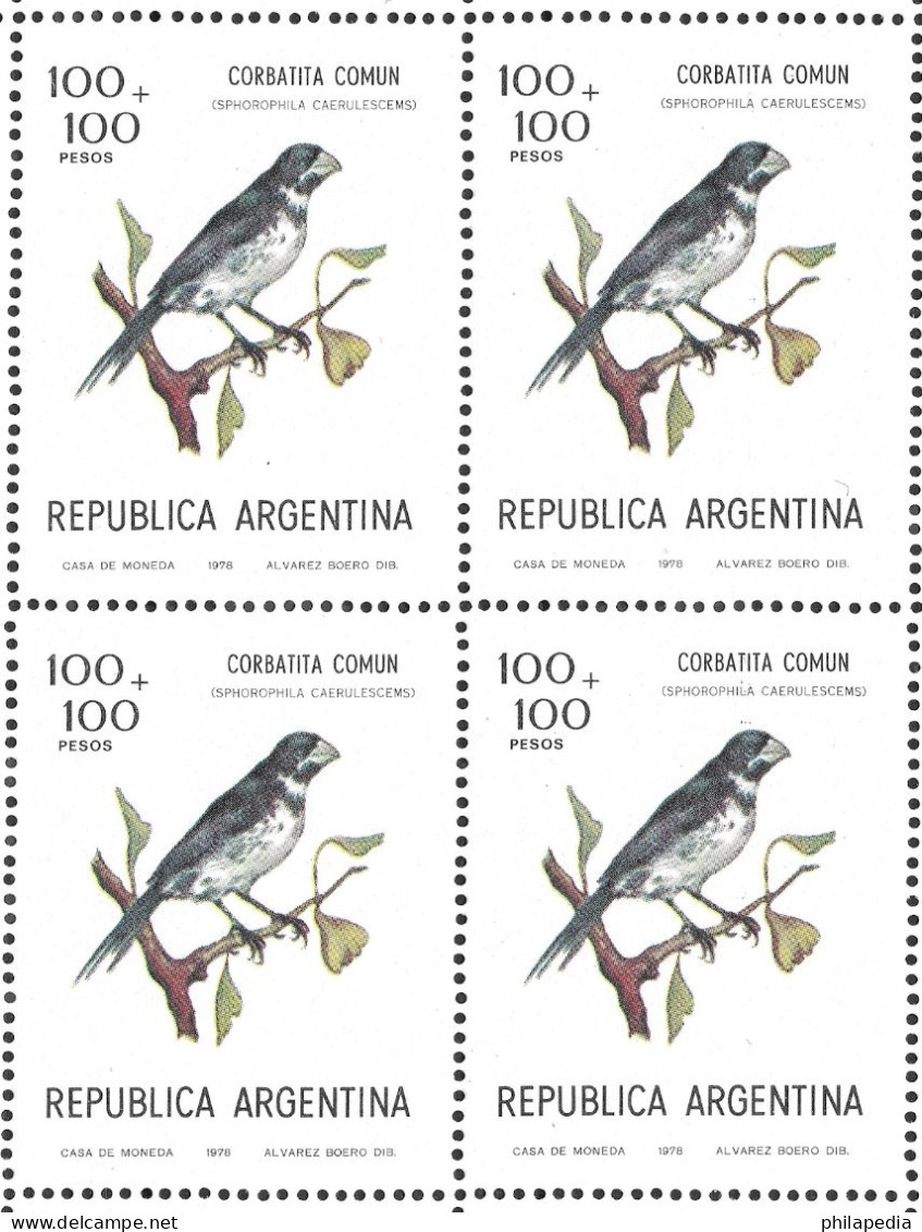 Argentine Football Oiseaux Passereaux Sporophile Birds Seedeater Vögel Samenfresser Aves Corbatita Uccelli ** 1974 20€ - Zangvogels