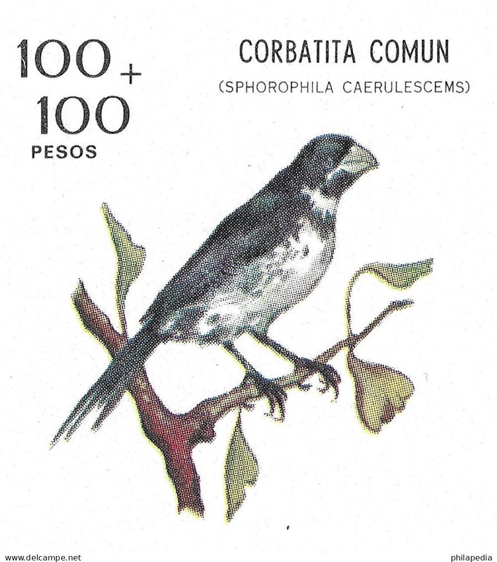 Argentine Football Oiseaux Passereaux Sporophile Birds Seedeater Vögel Samenfresser Aves Corbatita Uccelli ** 1974 20€ - Pájaros Cantores (Passeri)