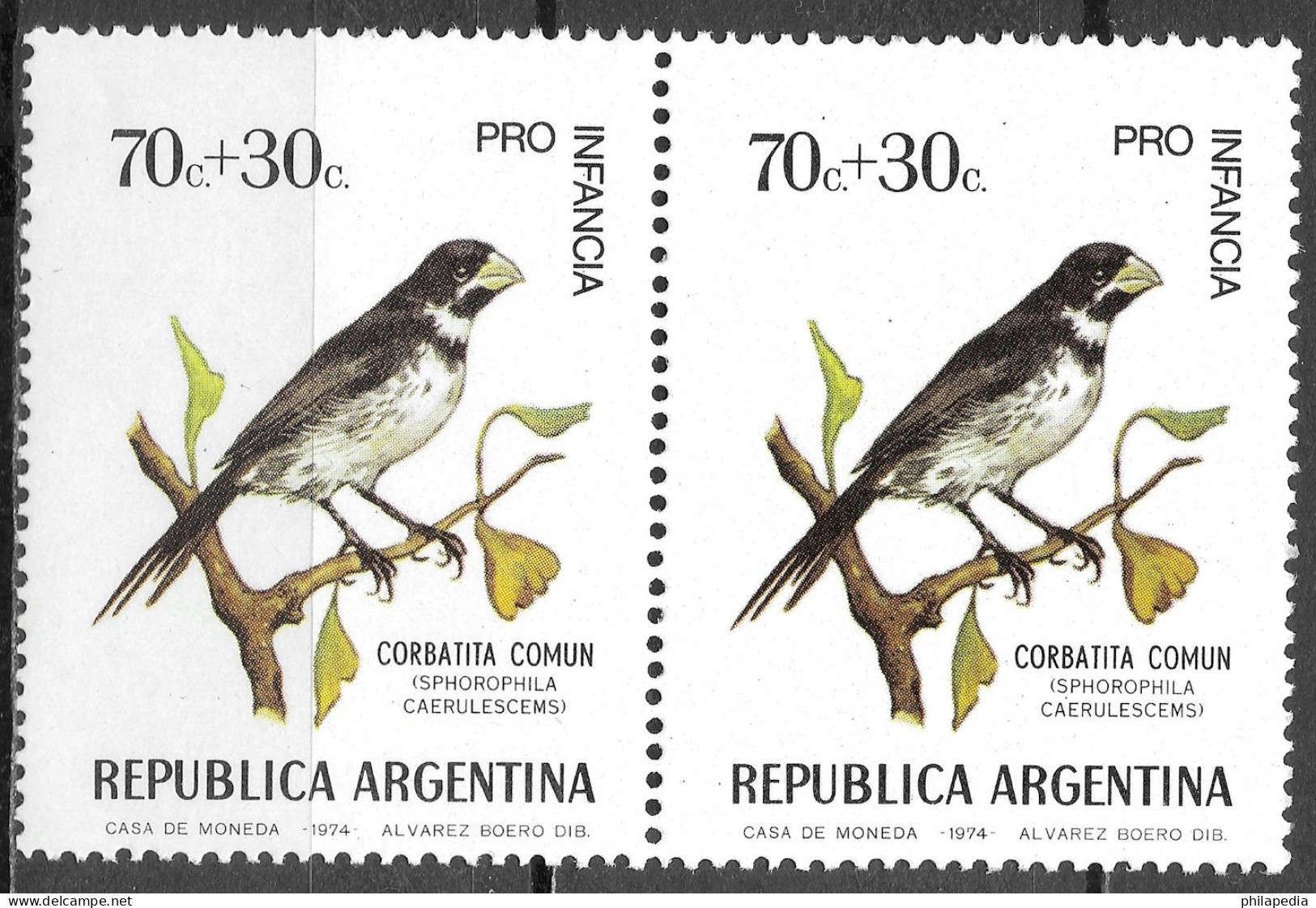Argentine Football Oiseaux Passereaux Sporophile Birds Seedeater Vögel Samenfresser Aves Corbatita Uccelli ** 1974 20€