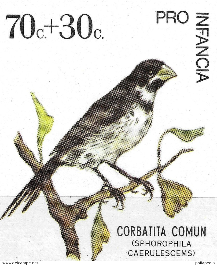 Argentine Football Oiseaux Passereaux Sporophile Birds Seedeater Vögel Samenfresser Aves Corbatita Uccelli ** 1974 20€