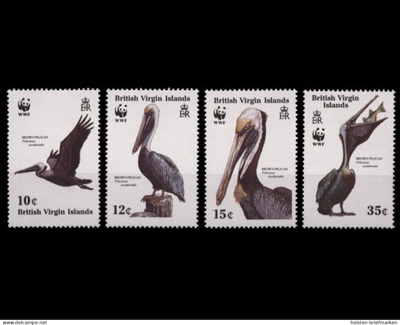 Jungferninseln, Vögel, MiNr. 637-640, Postfrisch - Autres - Amérique
