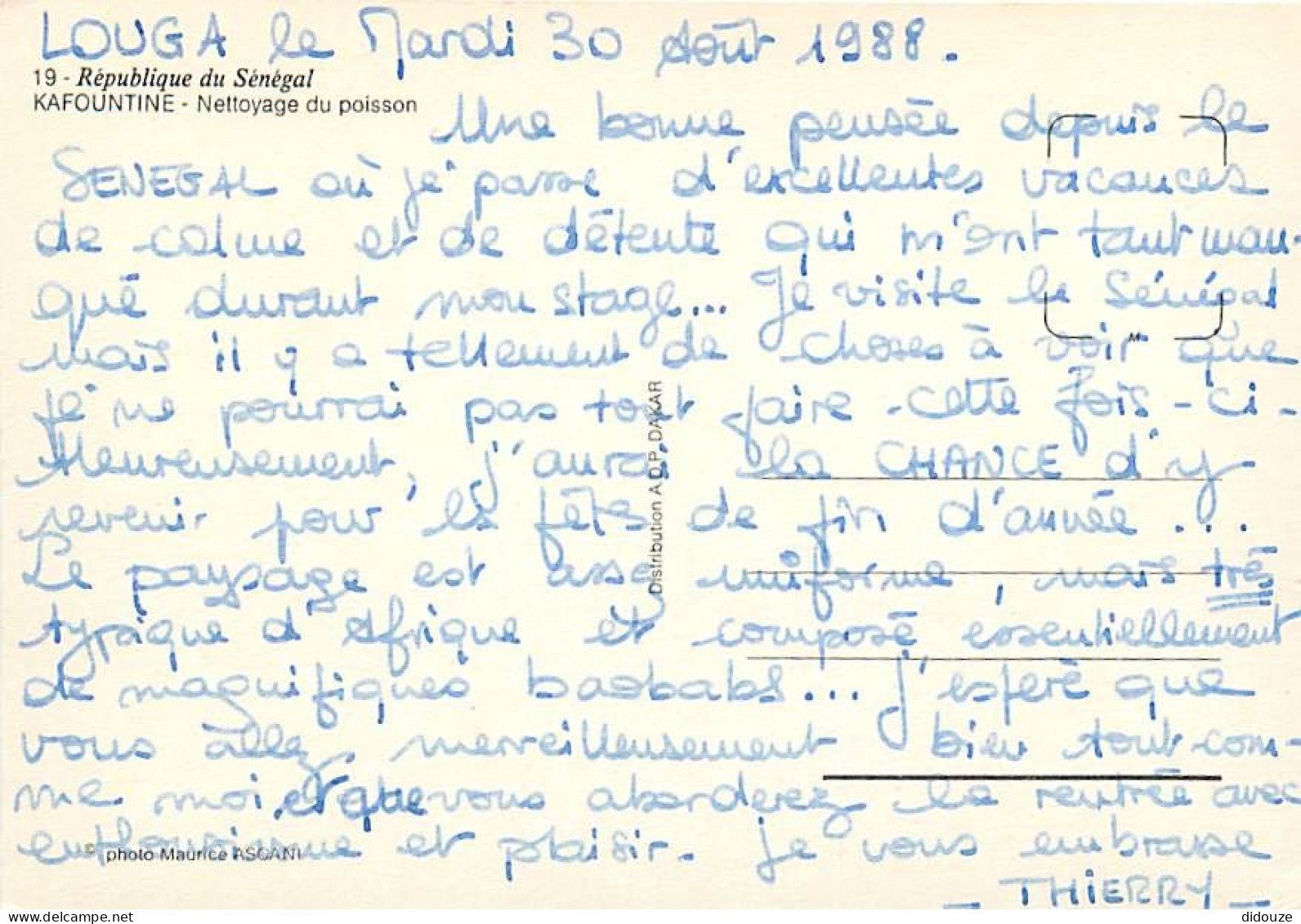 Sénégal - Kafountine - Nettoyage Du Poisson - CPM - Voir Scans Recto-Verso - Sénégal