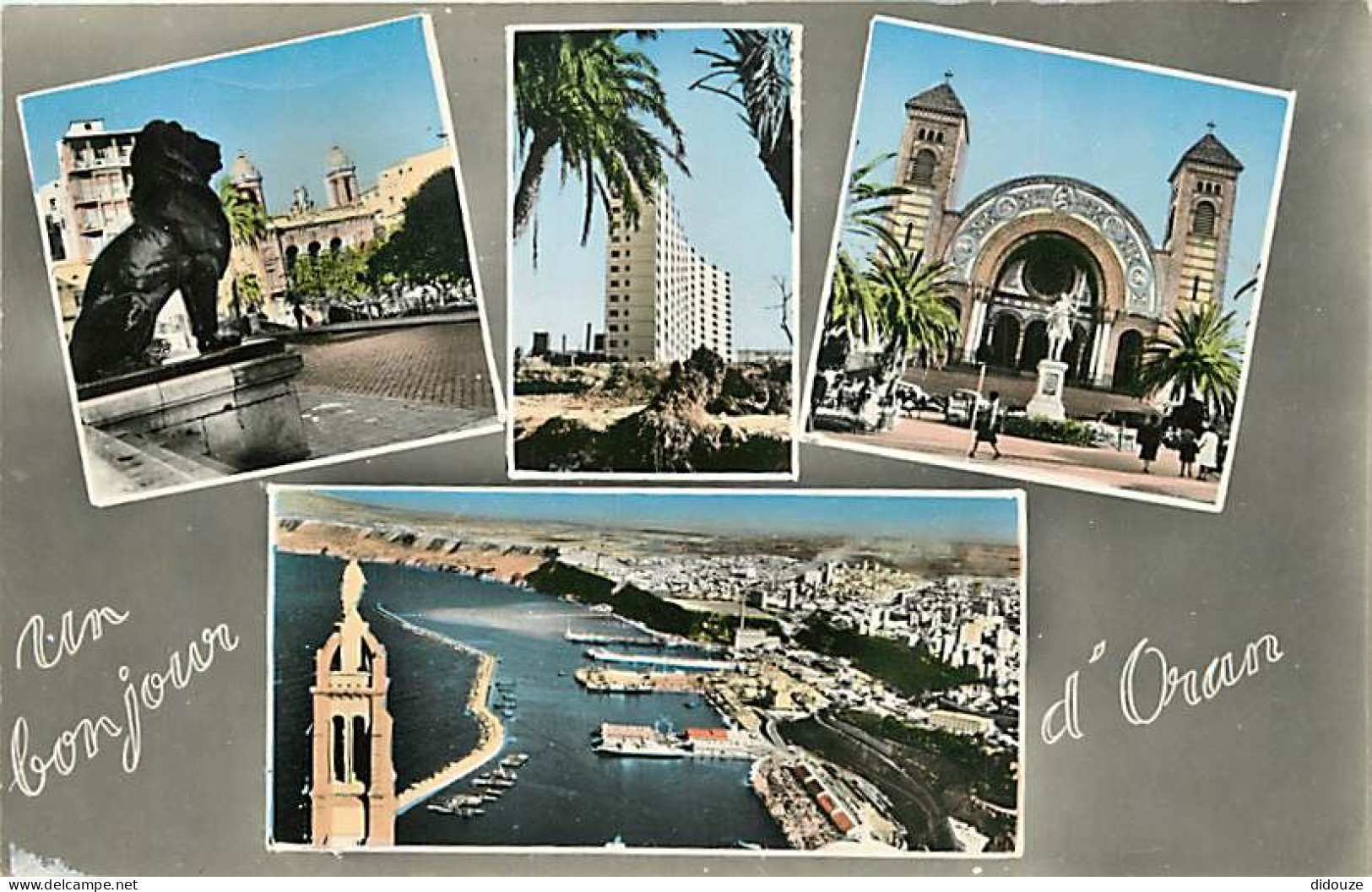 Algérie - Oran - Multivues - CPM - Voir Scans Recto-Verso - Oran