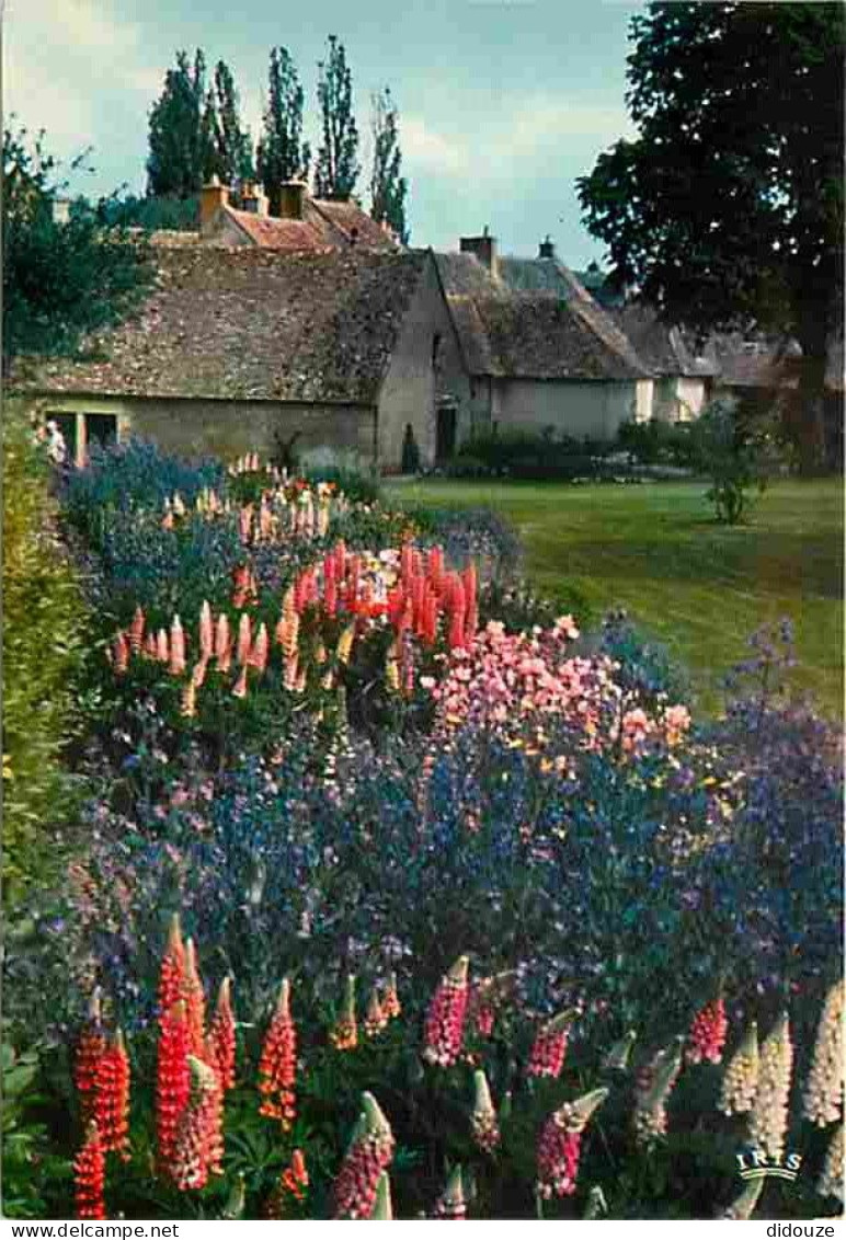 18 - Apremont - Le Parc Floral - Jardin De Printennps - Fleurs - Lupins - Carte Neuve - CPM - Voir Scans Recto-Verso - Altri & Non Classificati