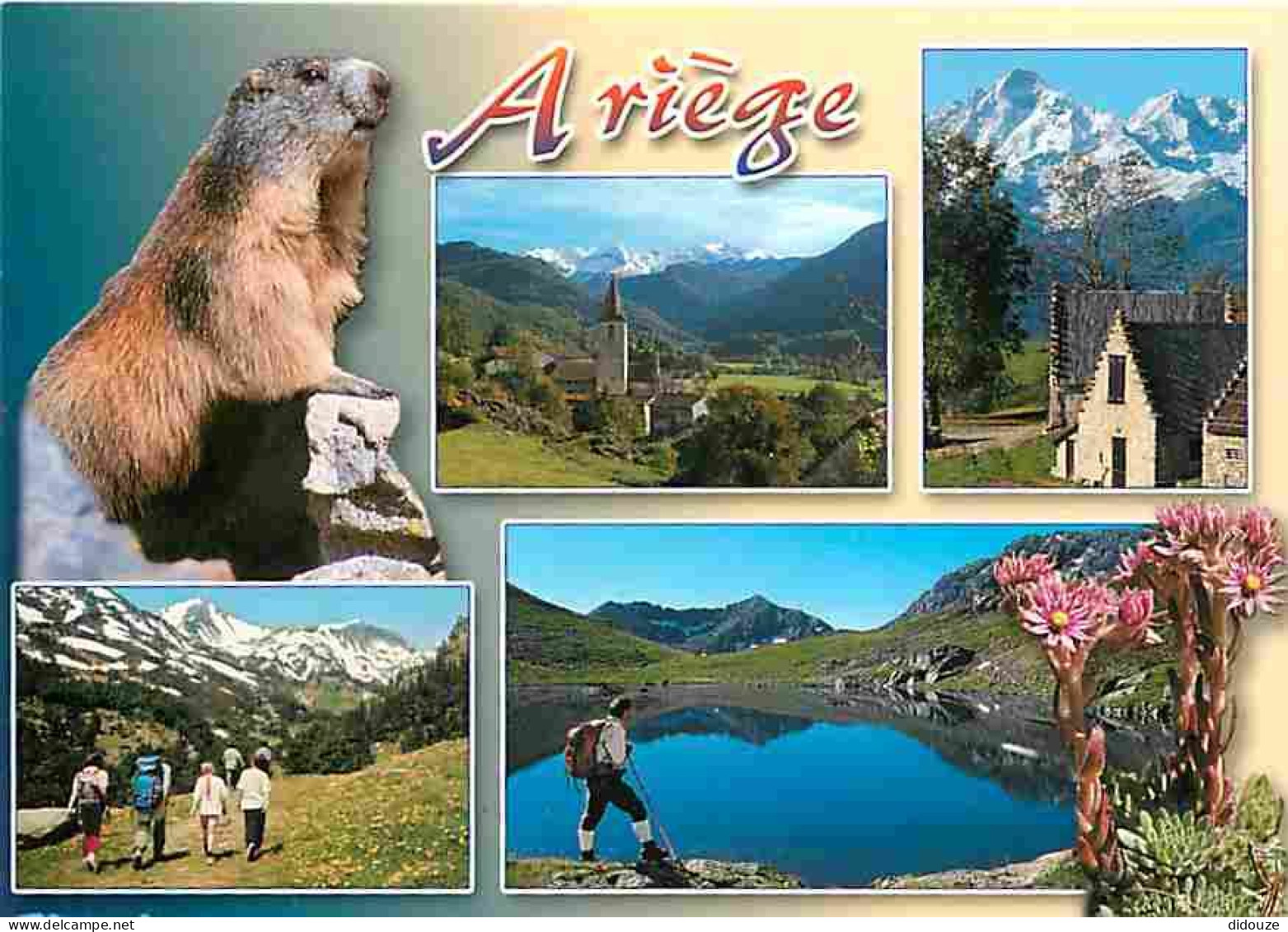 09 - Ariège - Multivues - Marmottes - CPM - Voir Scans Recto-Verso - Autres & Non Classés