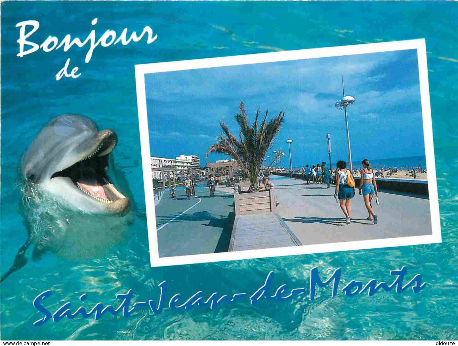 Animaux - Dauphin - Dolphin - Saint Jean De Monts - CPM - Voir Scans Recto-Verso - Dolphins