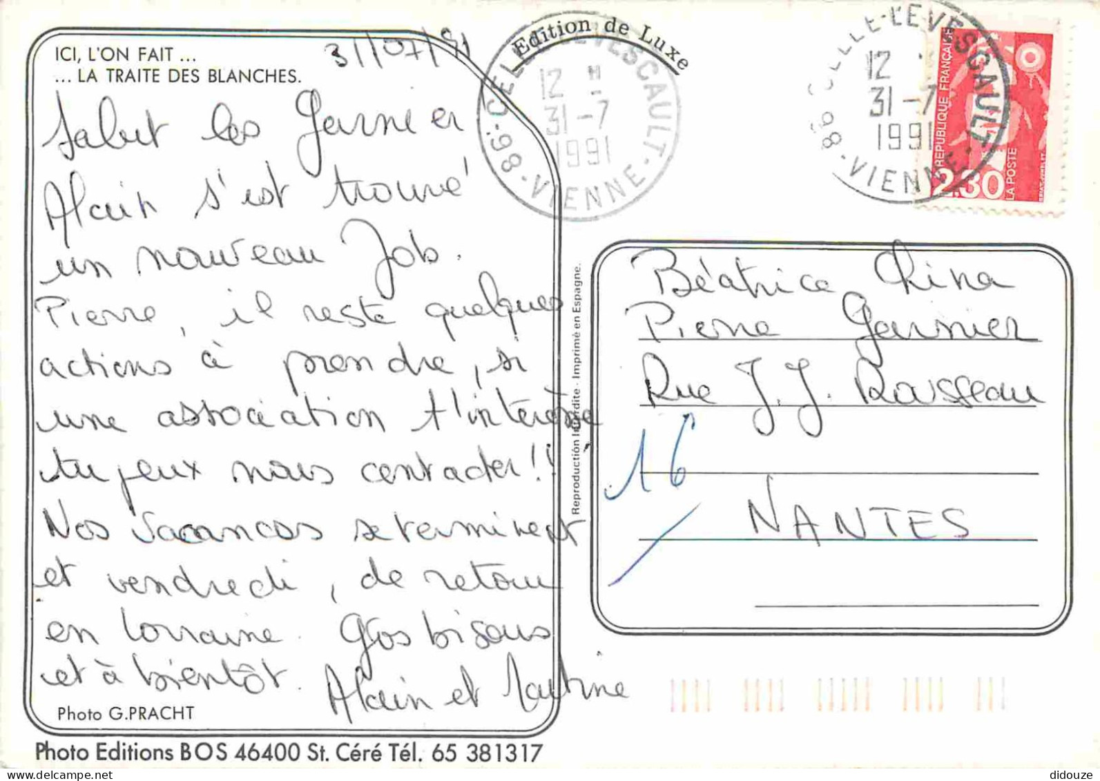 Animaux - Vaches - Carte à Message Humoristique - Tétée - CPM - Voir Scans Recto-Verso - Vaches