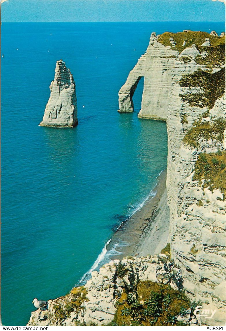 ETRETAT Les Falaises L Aiguille Et La Porte D Aval 3(scan Recto-verso) MC2498 - Etretat