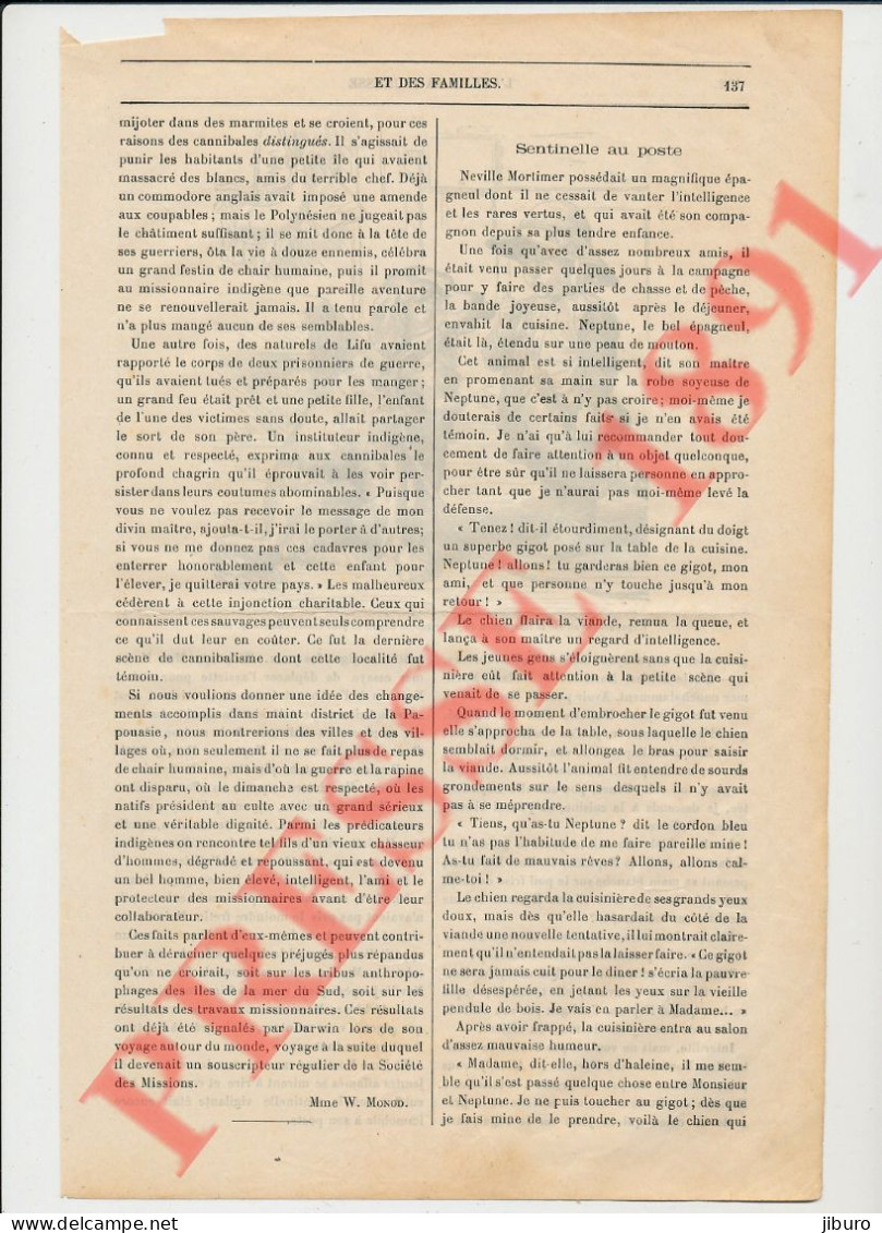 7 Vues 1891 Mac Farlane Cannibalisme En Océanie Papous Papouasie Lifu + Epagneul Chien + Whymper (Charles) Oiseaux - Zonder Classificatie