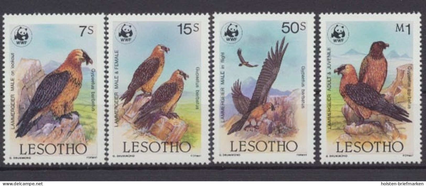 Lesotho, Vögel, MiNr. 556-559, Postfrisch - Lesotho (1966-...)