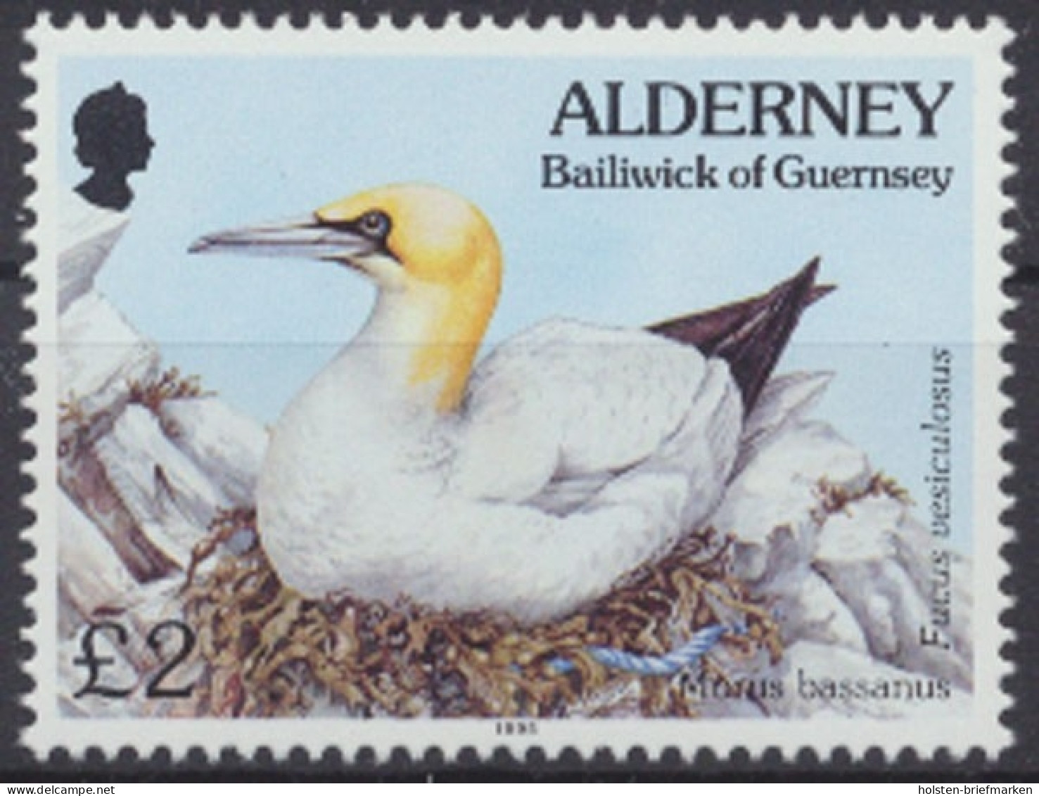 Alderney, Vögel, MiNr. 82, Postfrisch - Alderney