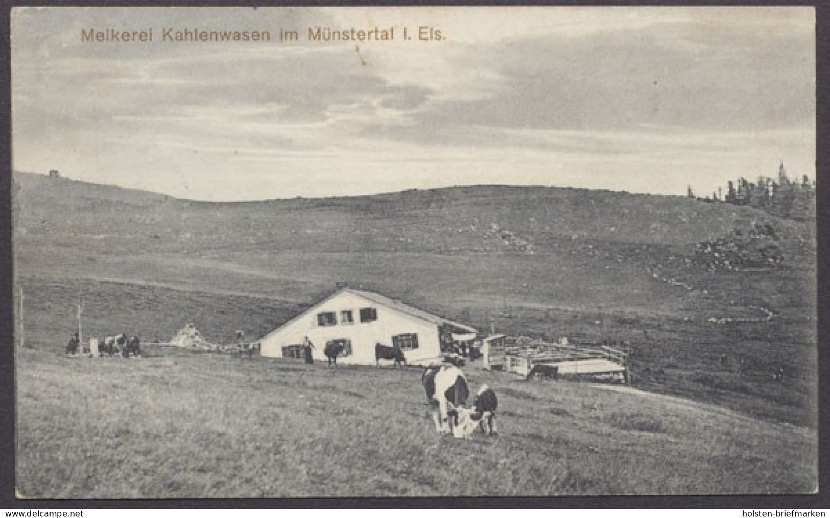 Kahlenwasen, Im Münstertal, Melkerei - Elsass