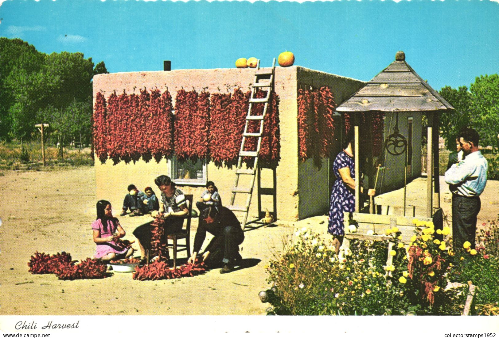 FOLKLORE, PEOPLE, INDIANS, CHILI, ARCHITECTURE, WELL, SOUTHWEST, MEXICO, POSTCARD - Personajes