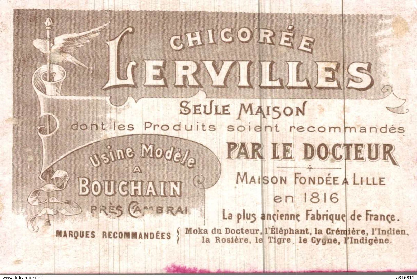 Chicoree Lervilles L Ecrevisse - Tea & Coffee Manufacturers