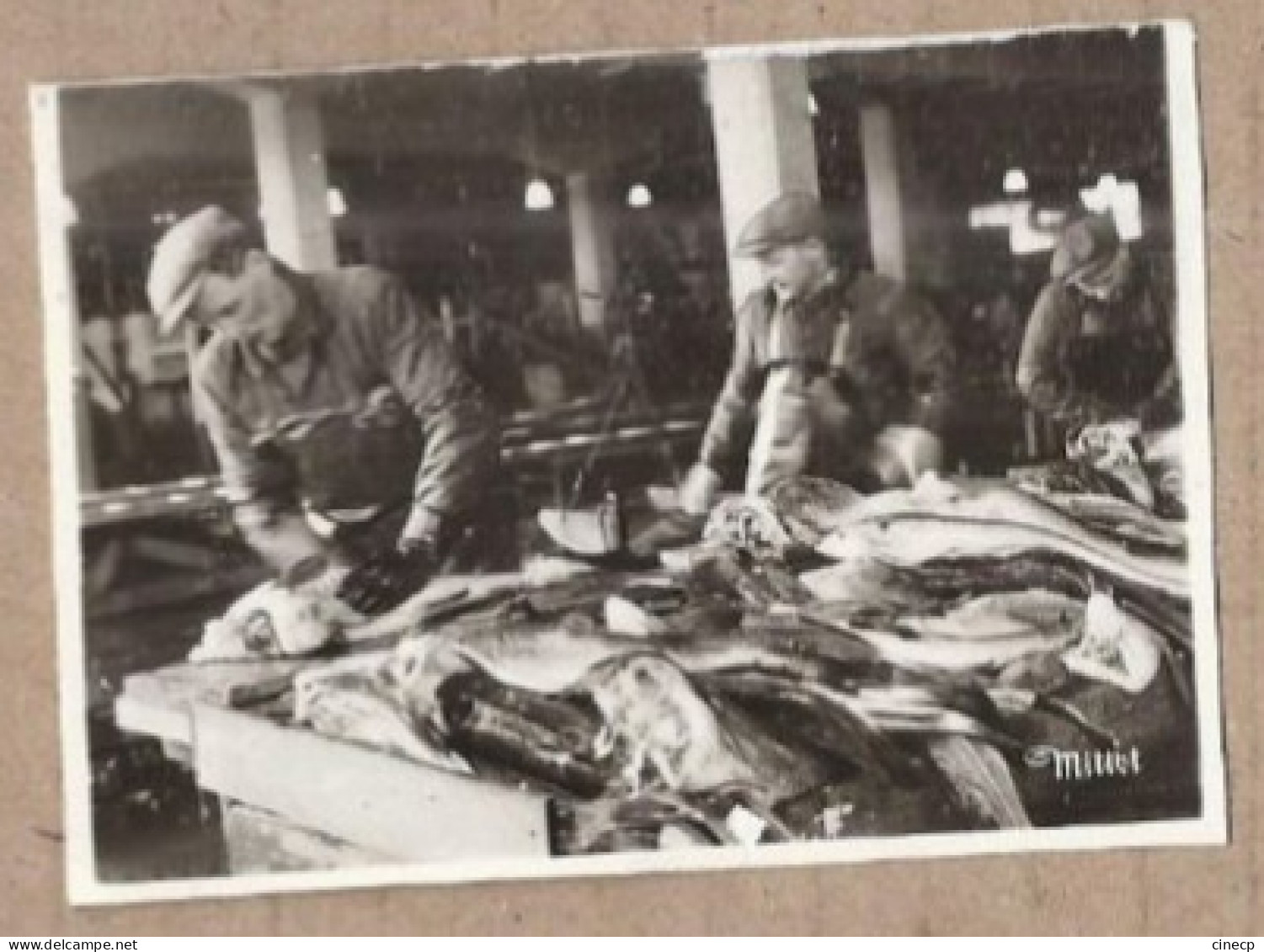 PHOTOGRAPHIE NORVEGE - Fisken Flekkes - TB PLAN Pêcheurs Travail Du POISSON POISSONNERIE - Norvège