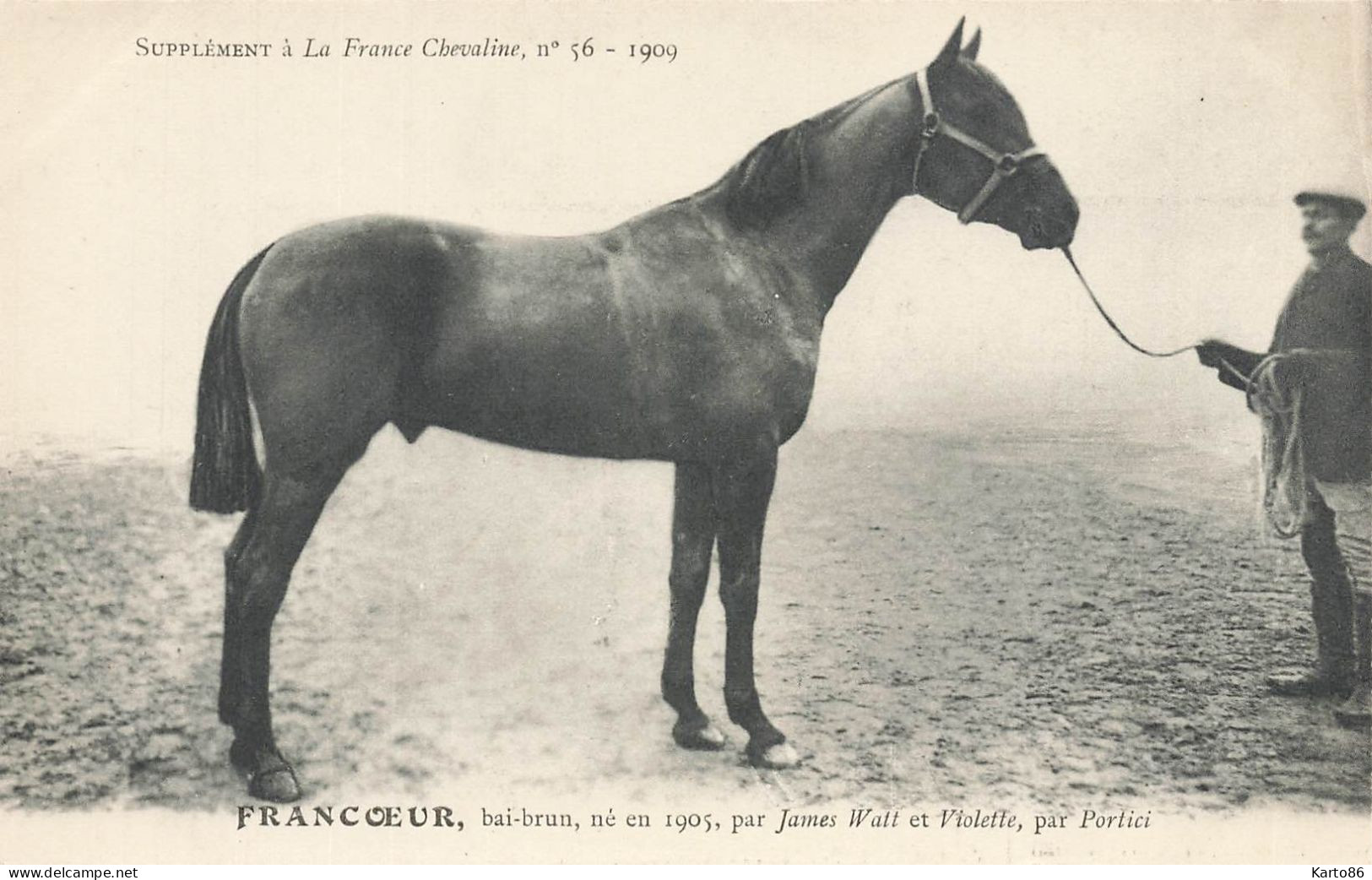 Hippisme * La France Chevaline N°56 1909 * Concours Centrale Hippique * Cheval FRANCOEUR Bai Brun - Horse Show