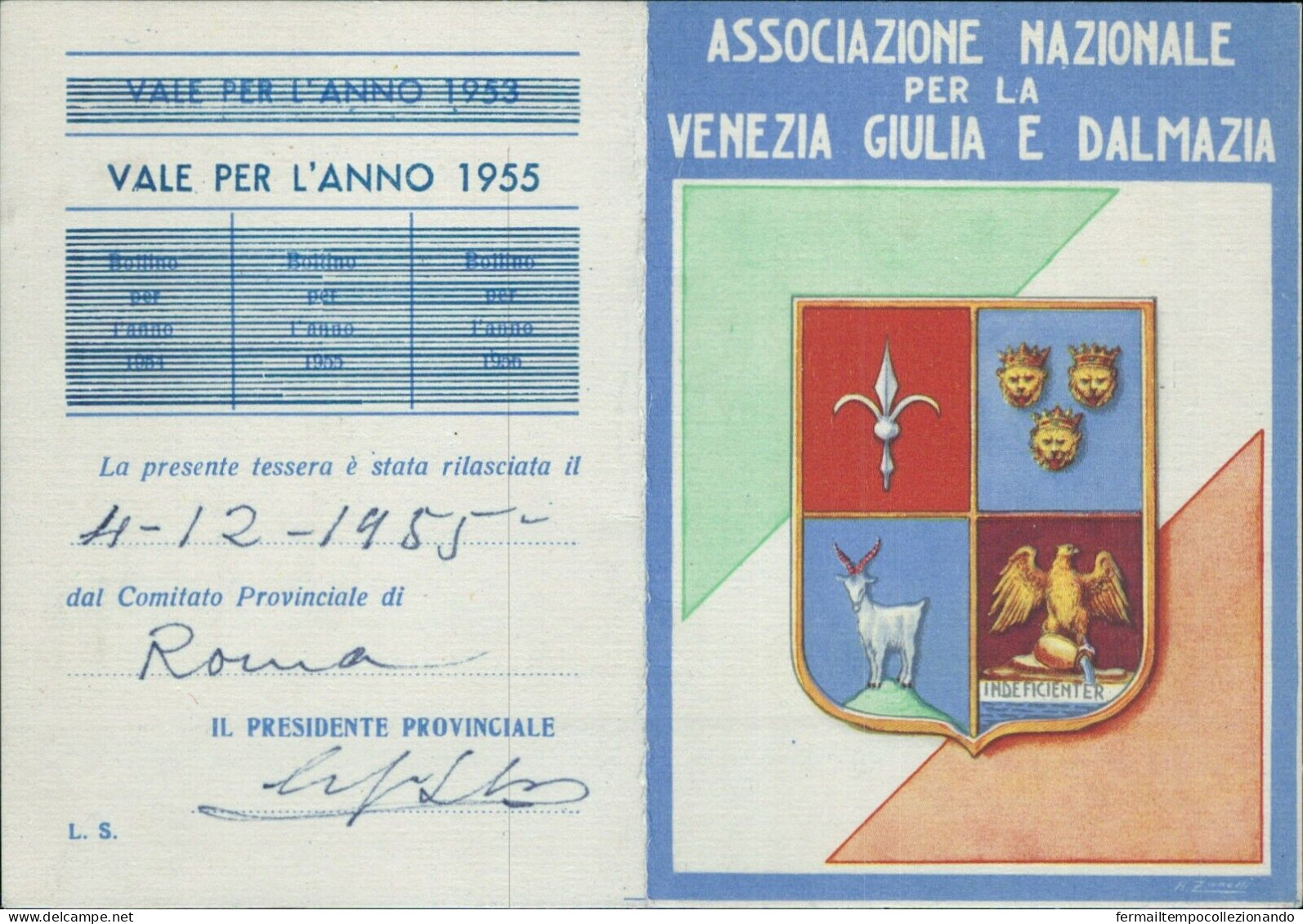 Ac954 Tessera Associazione Nazionale Venezia Giulia E Dalmazia 1955 - Tessere Associative