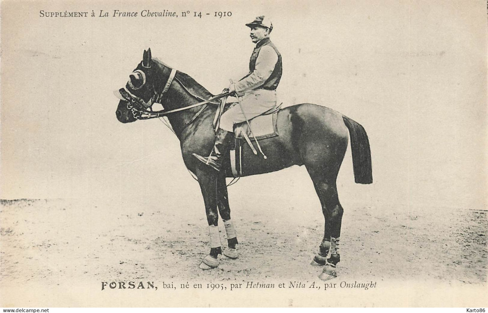 Hippisme * La France Chevaline N°14 1909 * Concours Centrale Hippique * Cheval FORSAN Bai - Horse Show