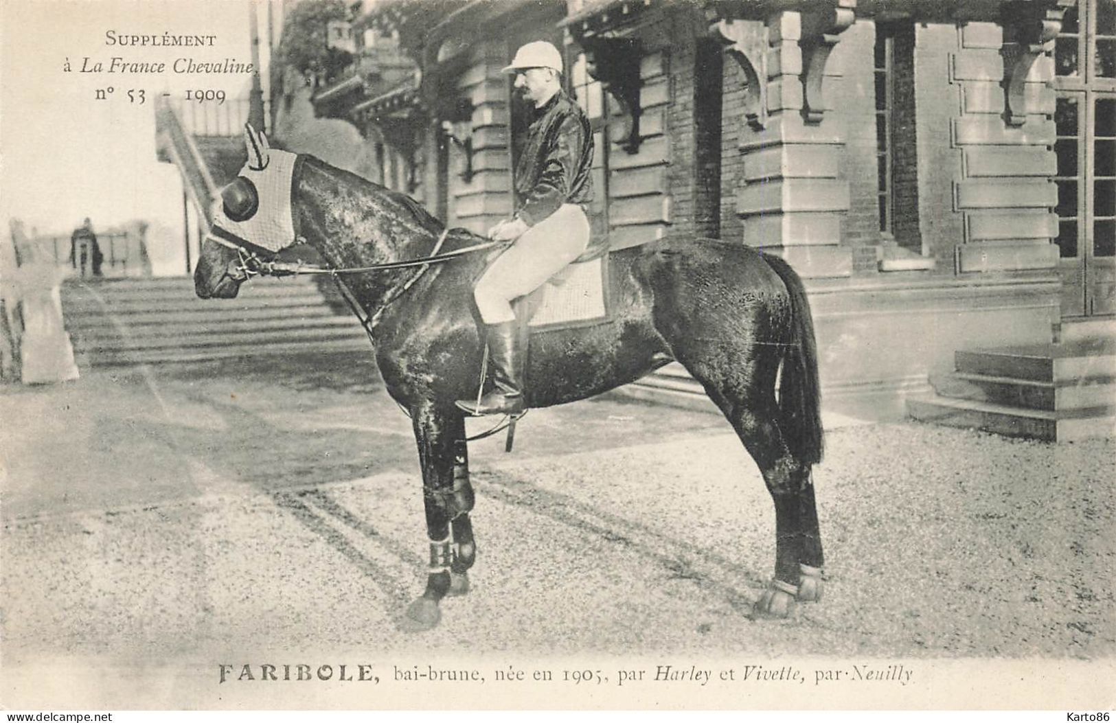 Hippisme * La France Chevaline N°53 1909 * Concours Centrale Hippique * Cheval FARIBOLE Baie Brune Jockey - Horse Show