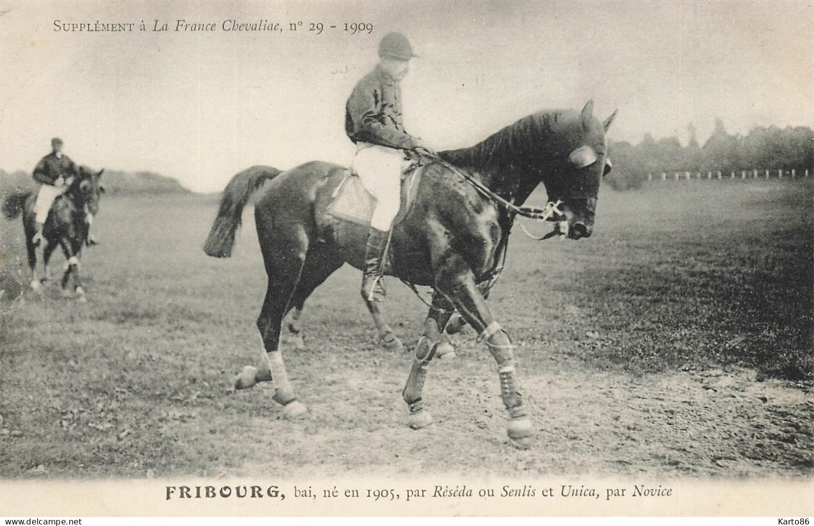 Hippisme * La France Chevaline N°29 1909 * Concours Centrale Hippique * Cheval FRIBOURG Bai Jockey - Hípica