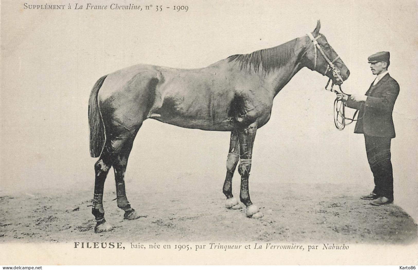 Hippisme * La France Chevaline N°35 1909 * Concours Centrale Hippique * Cheval FILEUSE Baie - Horse Show